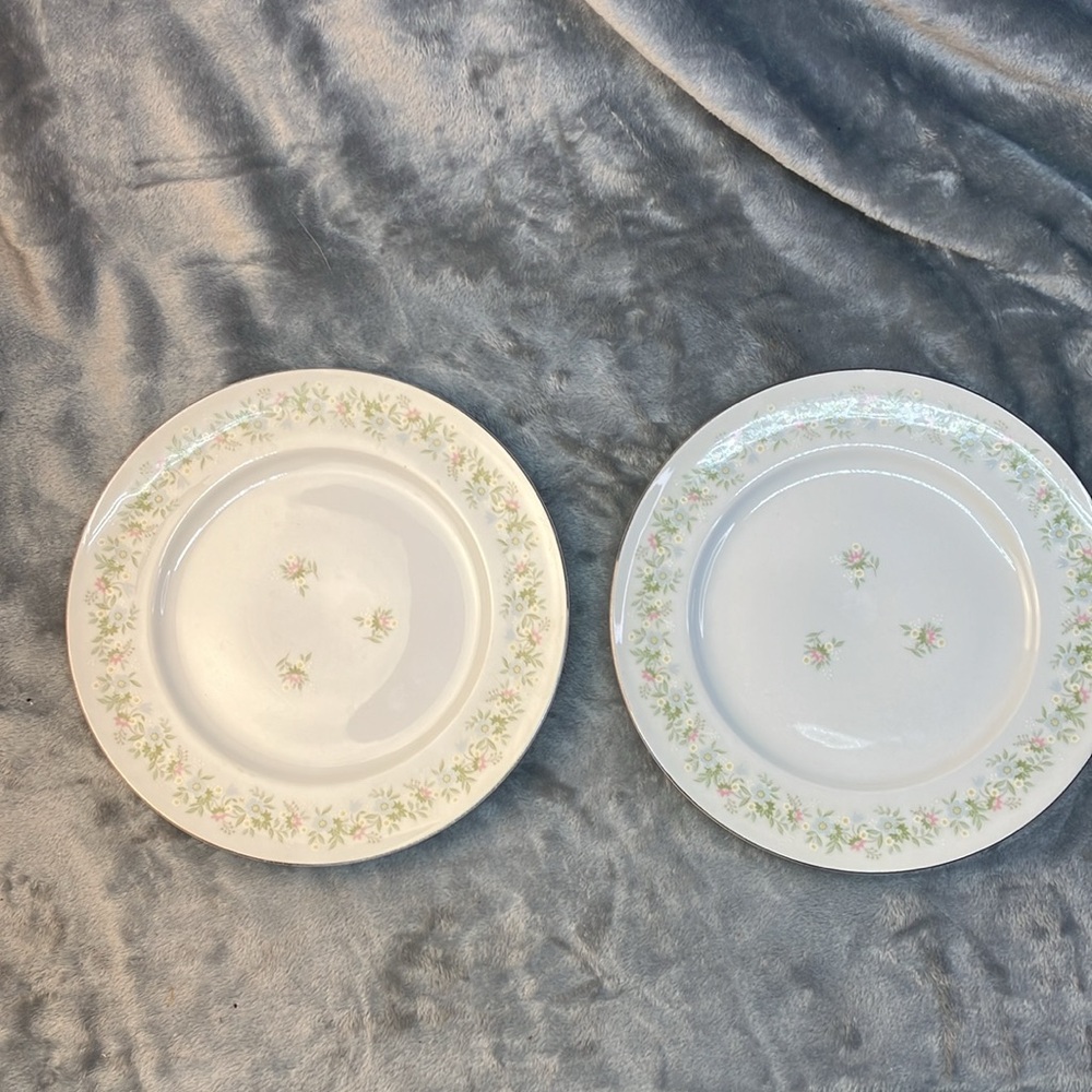 Johann Haviland Bavaria Germany Fine Porcelain "Forever Spring" Design. Set of 2